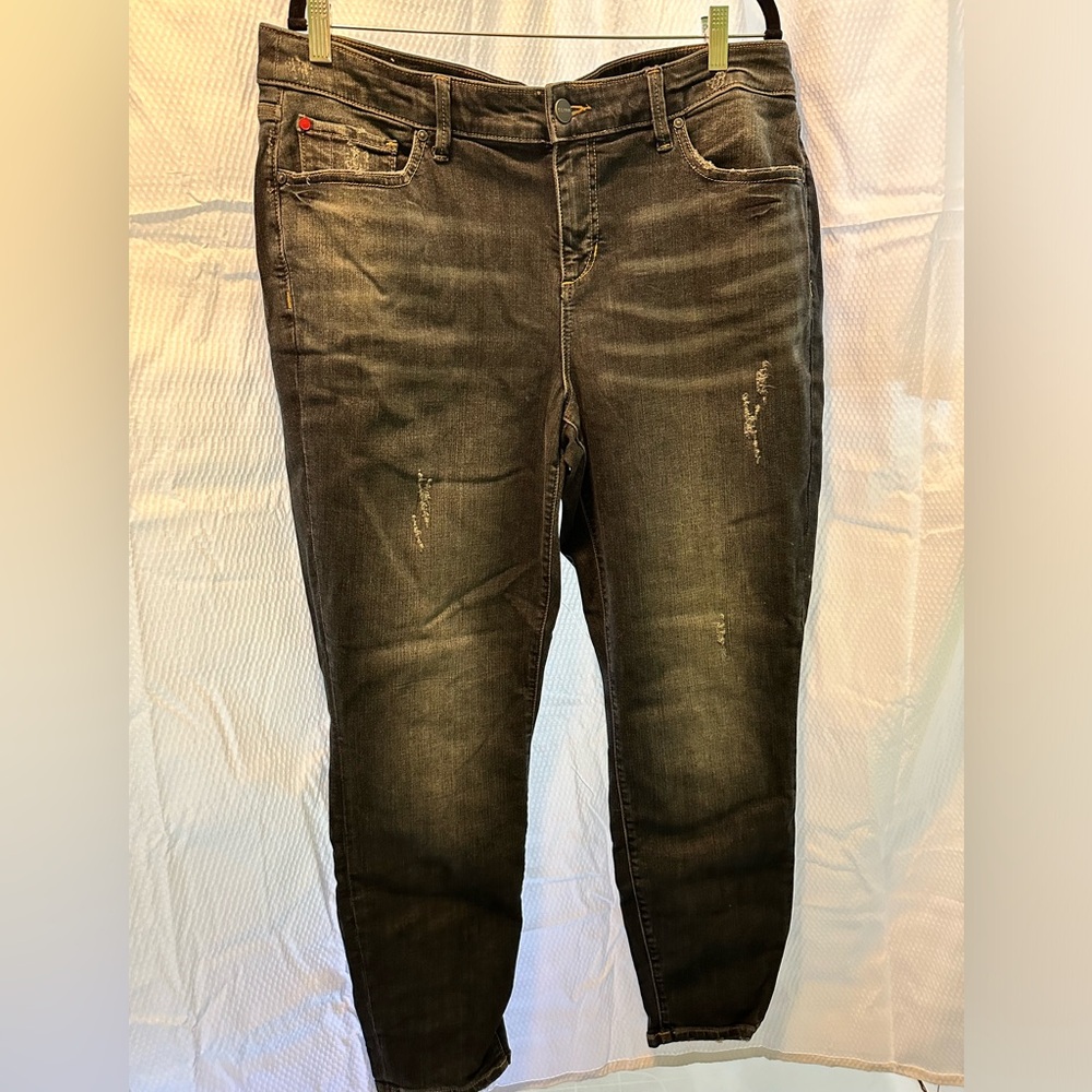 NWT Lysee distressed jeans size 2X curvy